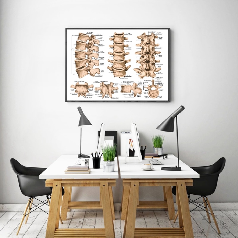 Lumbar-Spine-Structure-Chart-Prints-Medicine-Educational-Poster-Human-Skeletal-System-Canvas-Painting-Doctor-Office-Wall-2.jpg