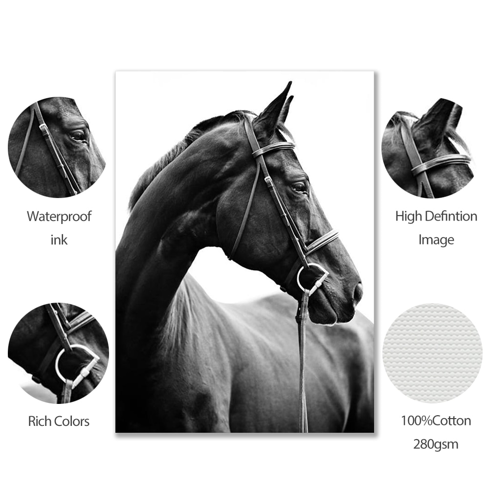 Modern-Black-White-Animal-Steed-Canvas-Painting-Wall-Art-Decor-Posters-and-Prints-Horses-Pictures-For-5.jpg