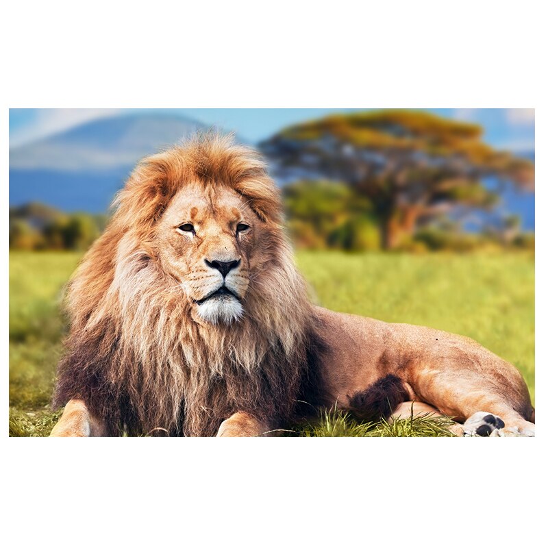 Modern-Steppe-Animal-Lion-Oil-Painting-on-Canvas-Posters-and-Prints-Cuadros-Wall-Art-Pictures-for-4.jpg