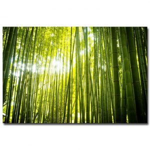 Forest Path Bamboo Sunbeam Art Silk Fabric Poster Print 12x18 24x36inch Wall Pictures Living Room Decor 004