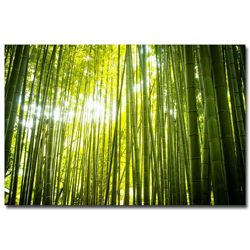 NICOLESHENTING-Forest-Path-Bamboo-Sunbeam-Art-Silk-Fabric-Poster-Print-12x18-24x36inch-Wall-Pictures-Living-Room.jpg