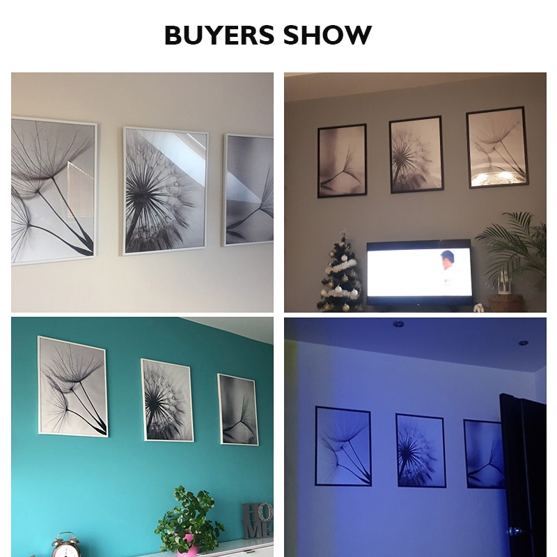 Nordic-Dandelion-Flower-posters-and-prints-living-room-scandinavian-black-and-white-wall-art-canvas-abstract-3.jpg