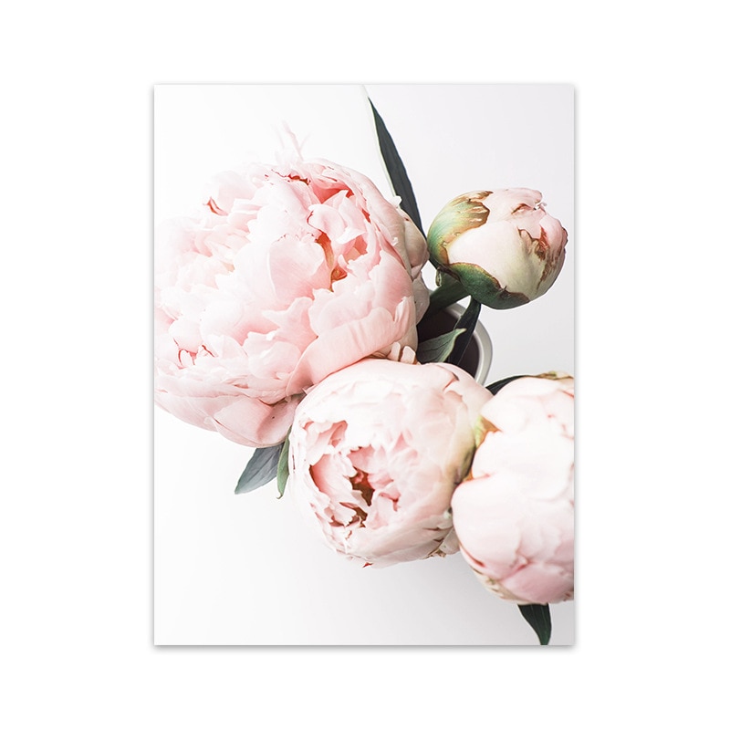 Nordic-Light-Pink-Peonies-Flowers-Canvas-Paintings-Gallery-Modern-Romantic-Posters-Print-Wall-Art-Bedroom-Wall-3.jpg