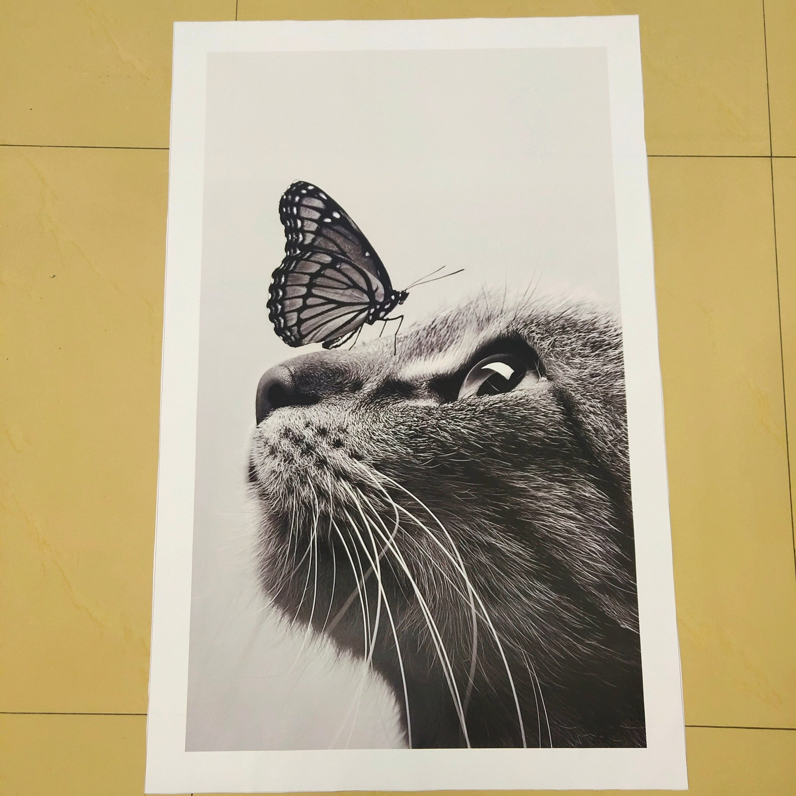 Nordic-Poster-and-Prints-Black-and-White-Cats-and-Butterfly-Wall-Art-Pictures-Decoration-Picture-Canvas-5.jpg