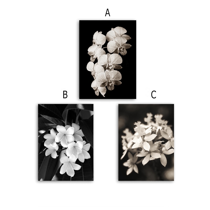 Nordic-Refreshing-Minimalist-Black-and-White-Flowers-Canvas-Paintings-Printed-Lily-Posters-Wall-Art-Pictures-Bedroom-4.jpg