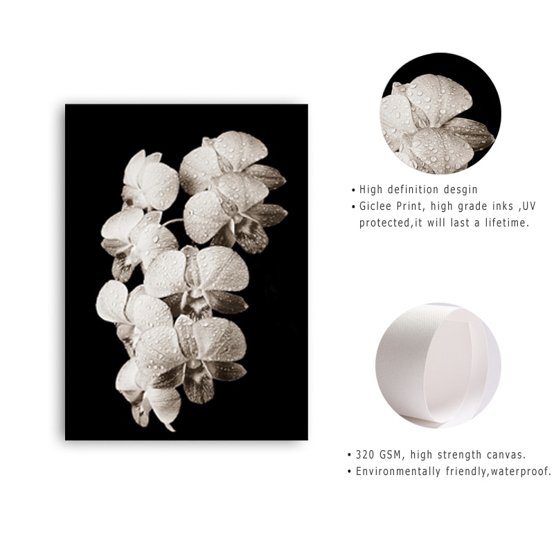 Nordic-Refreshing-Minimalist-Black-and-White-Flowers-Canvas-Paintings-Printed-Lily-Posters-Wall-Art-Pictures-Bedroom-5.jpg