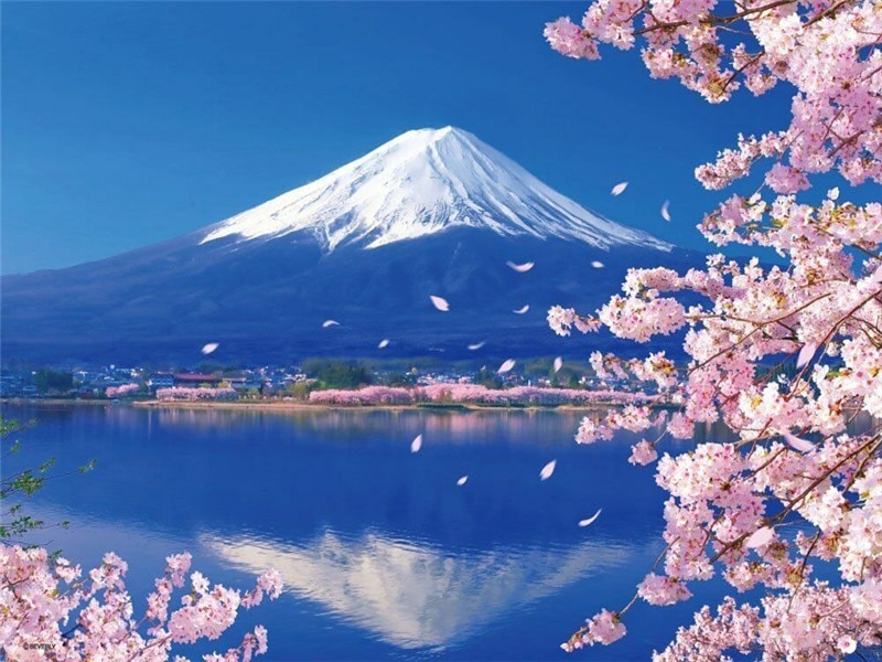 Paint-By-Numbers-For-Landscapes-Home-Decoration-Canvas-painting-By-Numbers-Full-Set-For-Adults-1.jpg