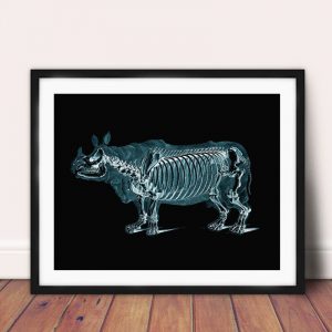 Rhinoceros Xray Illustration Art Canvas Print Veterinarian Gift Anatomy Poster Medical Abstract Painting Office Wall Art Decor