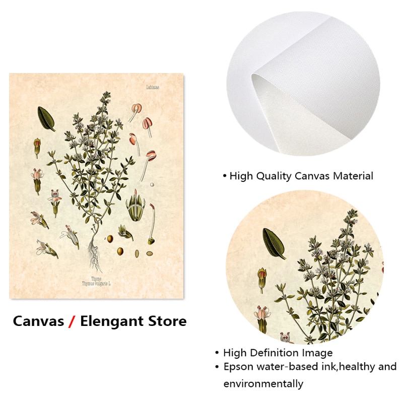Spices-Herbs-Print-Vintage-Botanical-Poster-Parsley-Sage-Rosemary-Thyme-Culinary-Wall-Art-Picture-Canvas-Painting-1.jpg