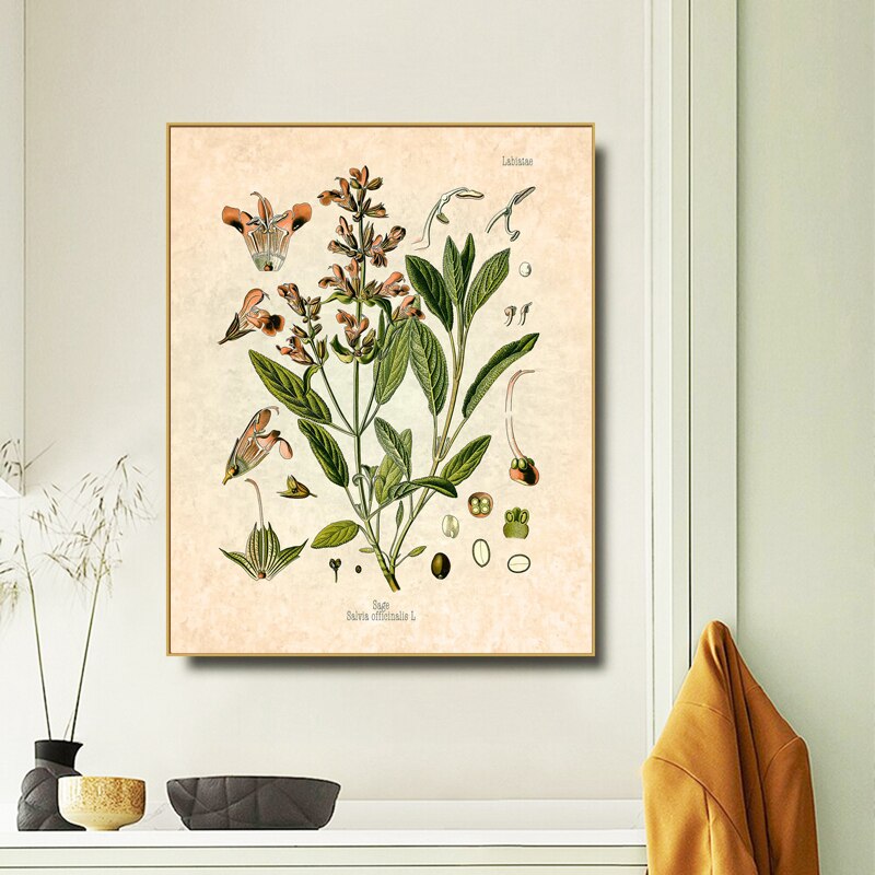 Spices-Herbs-Print-Vintage-Botanical-Poster-Parsley-Sage-Rosemary-Thyme-Culinary-Wall-Art-Picture-Canvas-Painting-2.jpg