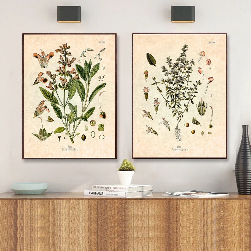 Spices-Herbs-Print-Vintage-Botanical-Poster-Parsley-Sage-Rosemary-Thyme-Culinary-Wall-Art-Picture-Canvas-Painting-3.jpg