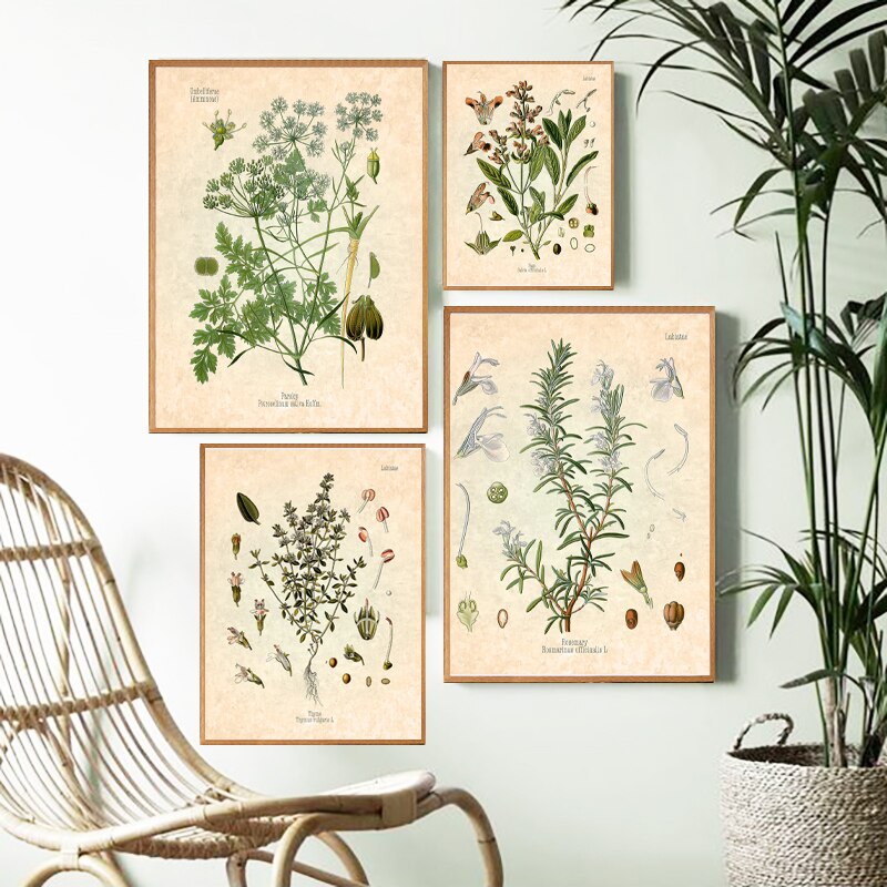 Spices-Herbs-Print-Vintage-Botanical-Poster-Parsley-Sage-Rosemary-Thyme-Culinary-Wall-Art-Picture-Canvas-Painting.jpg