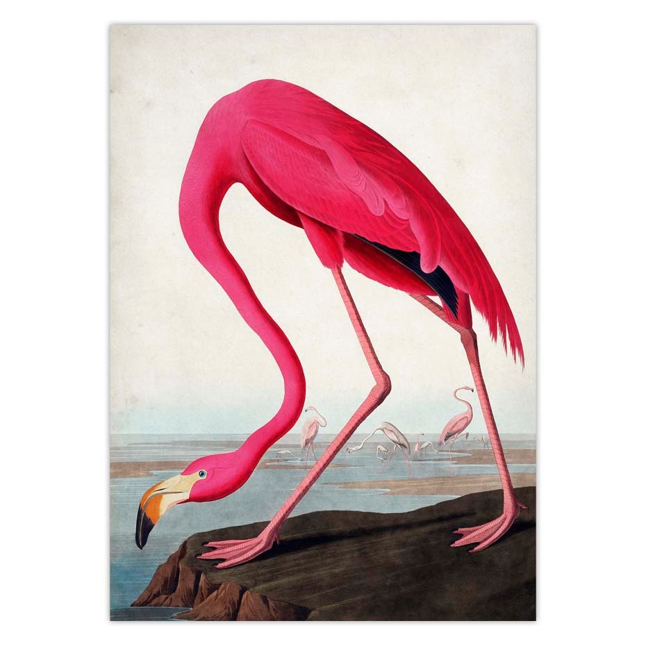 Vintage-Bird-Canvas-Print-Audubon-Bird-Posters-Pink-Flamingo-Snowy-Owl-Pelican-Blue-Heron-White-Egret-1.jpg