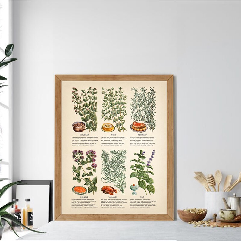 Vintage-Botanical-Herbs-and-Spices-Poster-Canvas-Painting-Kitchen-Wall-Art-Decor-Herb-Plants-Education-Art-2.jpg