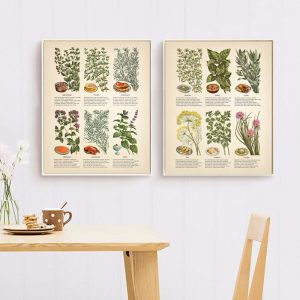 Vintage Botanical Herbs and Spices Poster Canvas Painting Kitchen Wall Art Decor ,Herb Plants Education Art Prints Wall Pictures