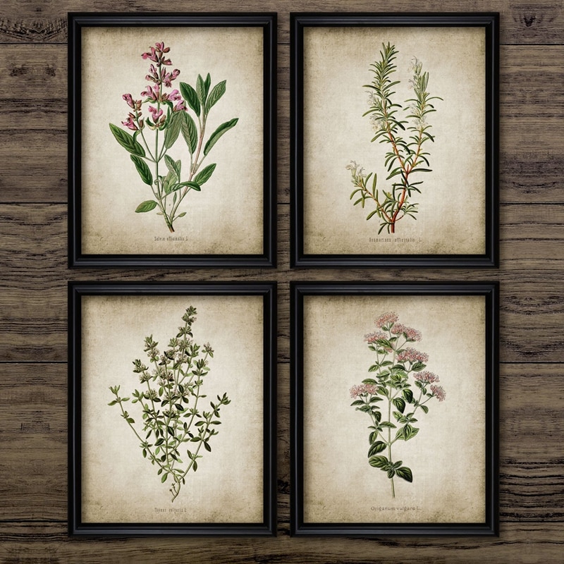 Vintage-Herb-Art-Canvas-Poster-And-Prints-Oregano-Rosemary-Sage-Thyme-Canvas-Painting-Retro-Wall-Pictures.jpg