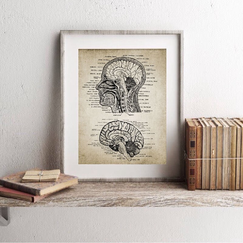 Vintage-Human-Head-And-Brain-Anatomy-Canvas-Art-Prints-Poster-Neuroscience-Human-Anatomy-Painting-Doctors-Office-1.jpg
