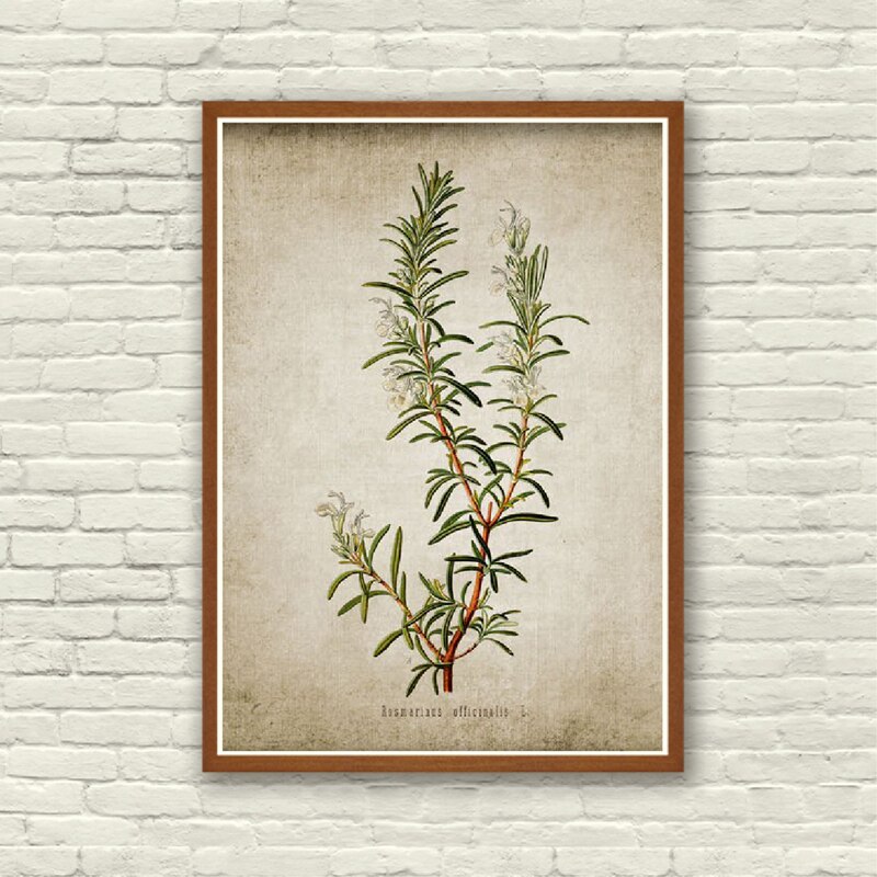 Vintage-Poster-Herb-Art-Prints-Oregano-Rosemary-Sage-Thyme-Canvas-Painting-Rustic-Art-Wall-Picture-Farmhouse-3.jpg