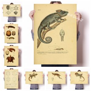 Vintage kraft paper style textbook illustration decorative painting canvas poster chameleon lizard turtle painting o277