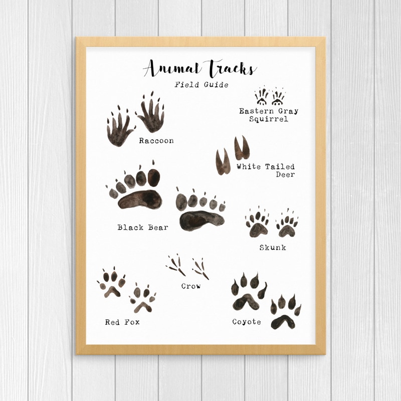 Woodland-Animal-Tracks-Poster-Canvas-Art-Prints-Animal-Tracking-Footprints-Canvas-Painting-Wall-Picture-Rustic-Nature-1.jpg