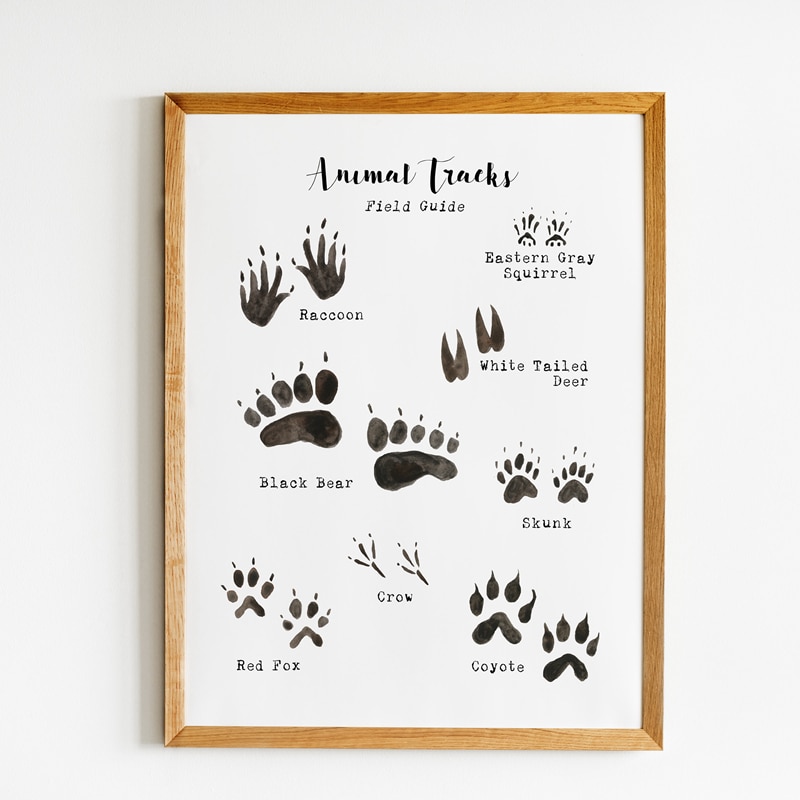 Woodland-Animal-Tracks-Poster-Canvas-Art-Prints-Animal-Tracking-Footprints-Canvas-Painting-Wall-Picture-Rustic-Nature-2.jpg