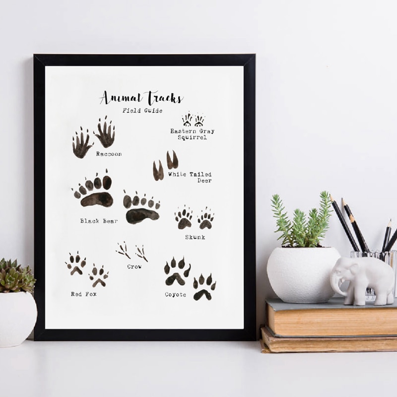 Woodland-Animal-Tracks-Poster-Canvas-Art-Prints-Animal-Tracking-Footprints-Canvas-Painting-Wall-Picture-Rustic-Nature.jpg