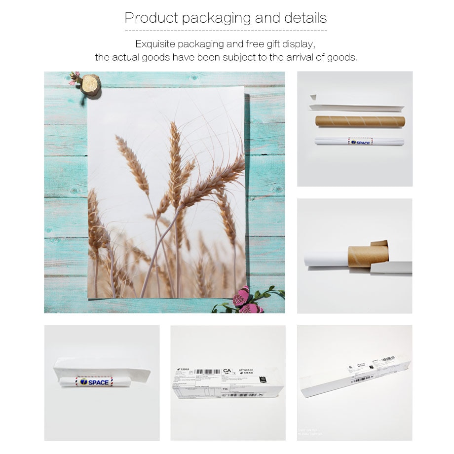 Autumn-Plant-Wheat-Dandelion-Reed-Flower-Wall-Art-Canvas-Painting-Nordic-Posters-And-Prints-Wall-Pictures-3.jpg